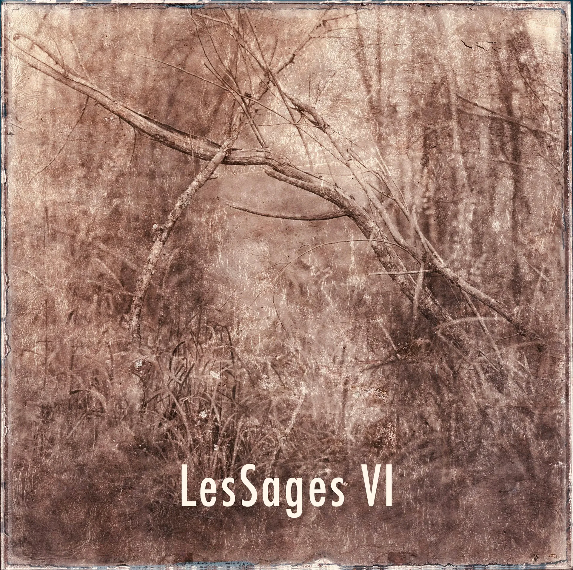 Les Sages VI — Oxydotype sur verre — Maison Picturale — Denis Félix — 25 × 25 cm