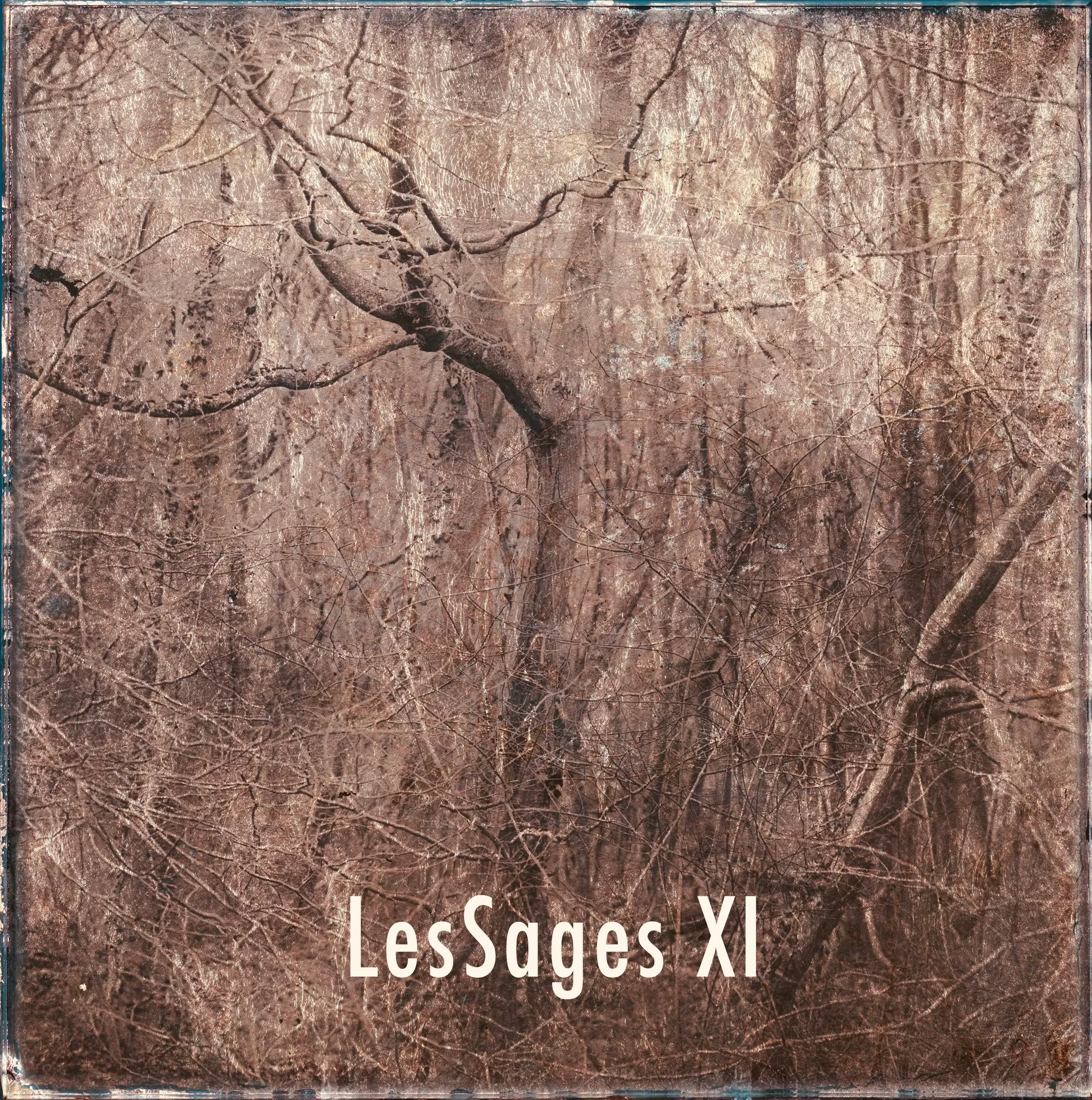 LES SAGES — Denis Félix