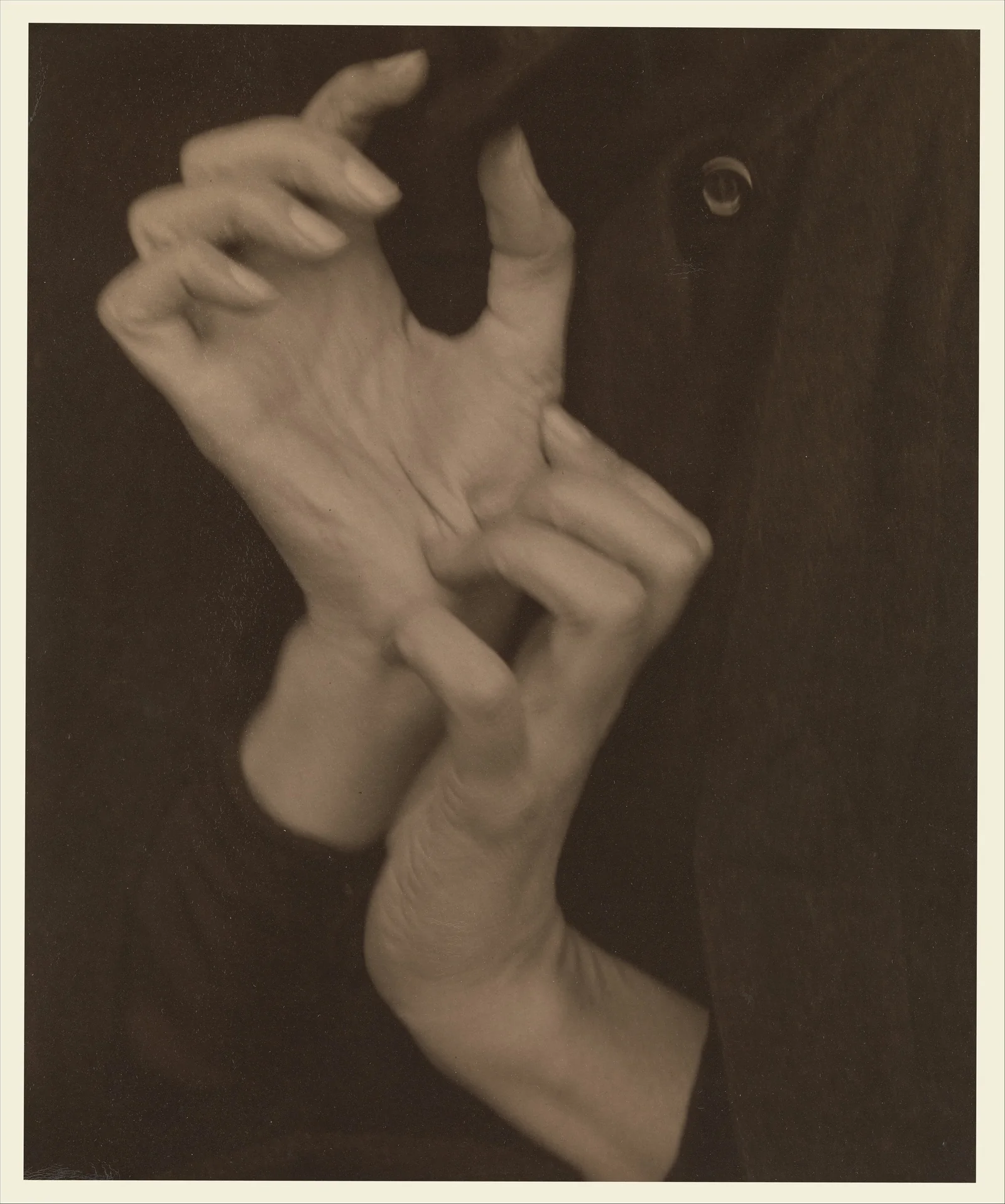 Georgia O'Keeffe — Mains — Alfred Stieglitz