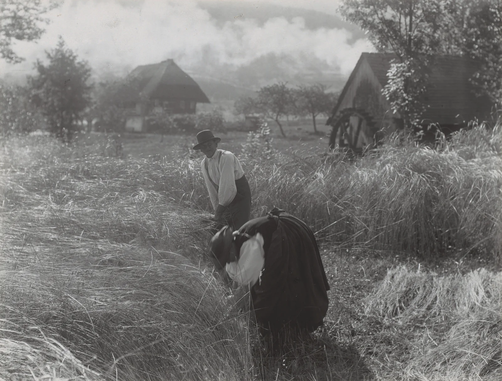 Moisson, Forêt-Noire — Alfred Stieglitz
