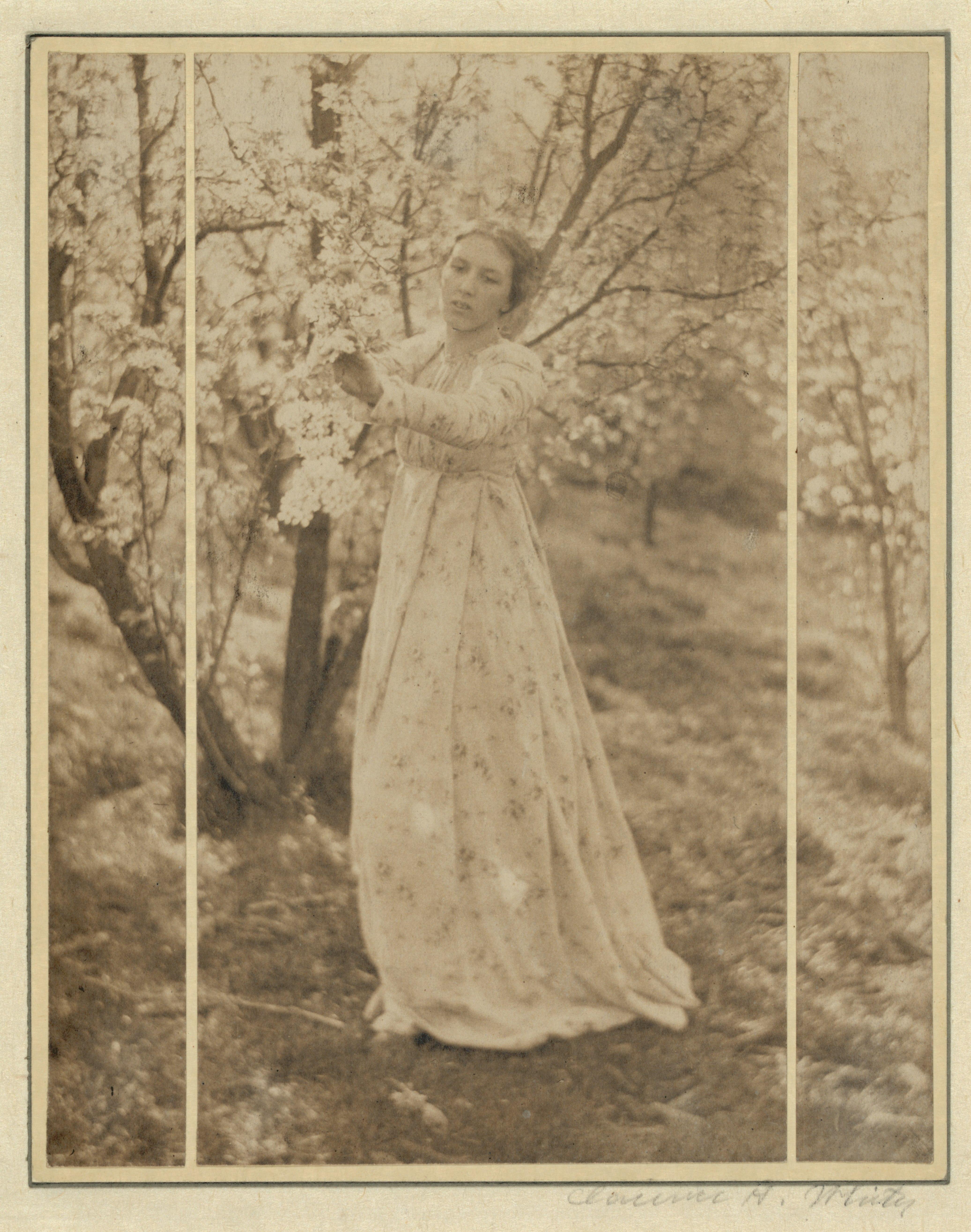 Printemps : Un Triptyque (Letitia Felix) — Clarence H. White