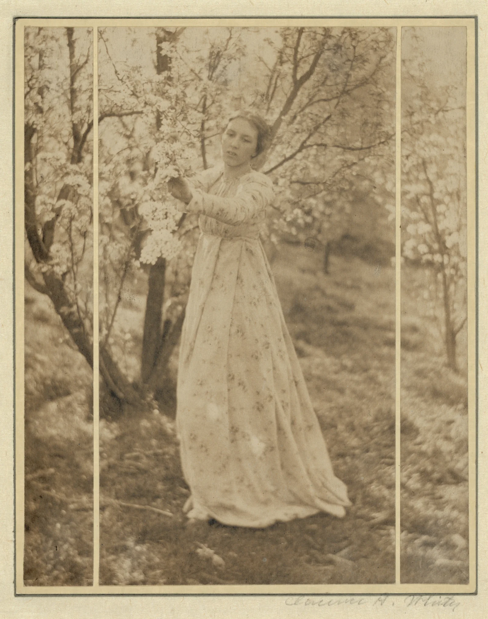 Printemps : Un Triptyque (Letitia Felix) — Clarence H. White