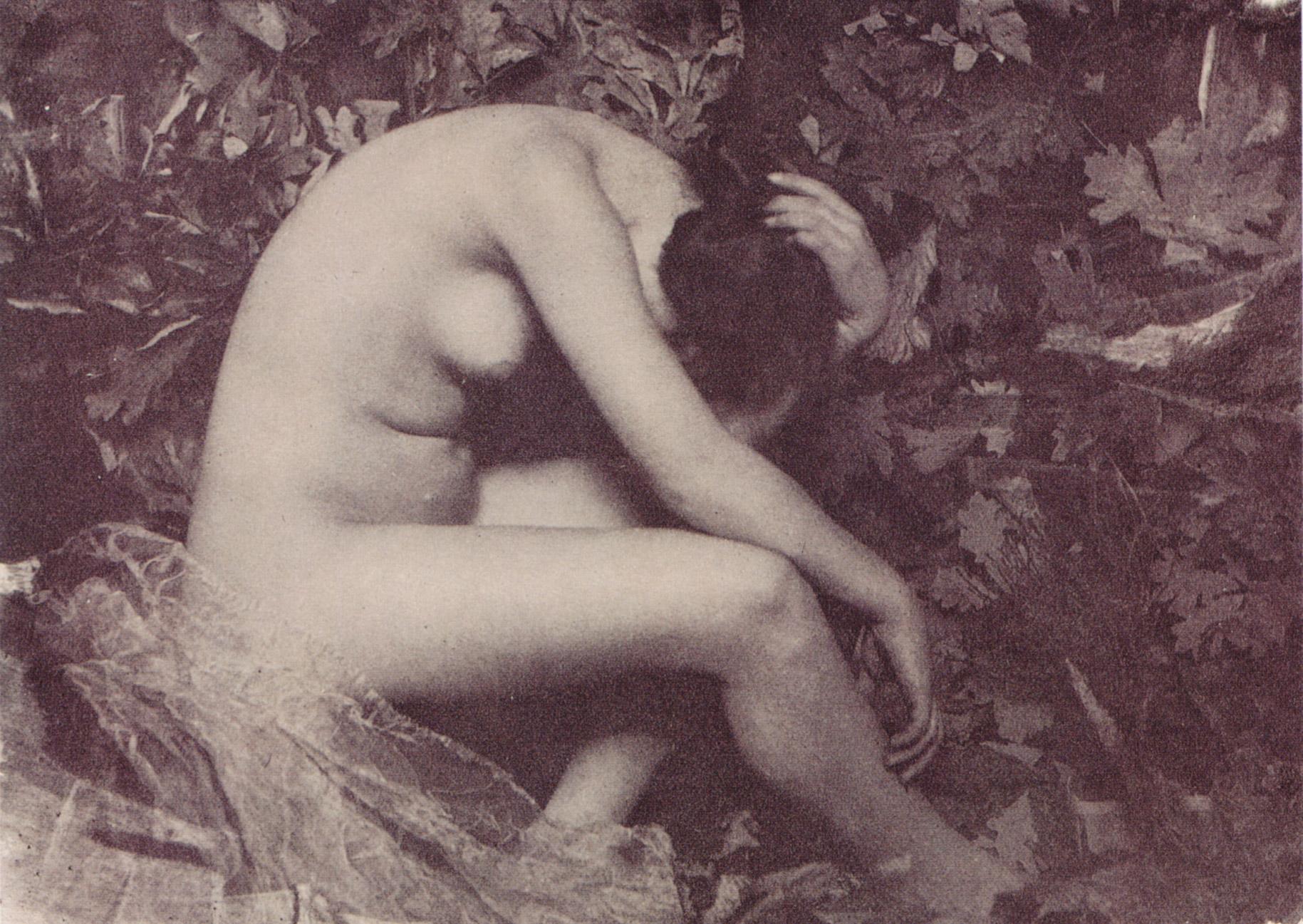 La Cigale — Frank Eugene
