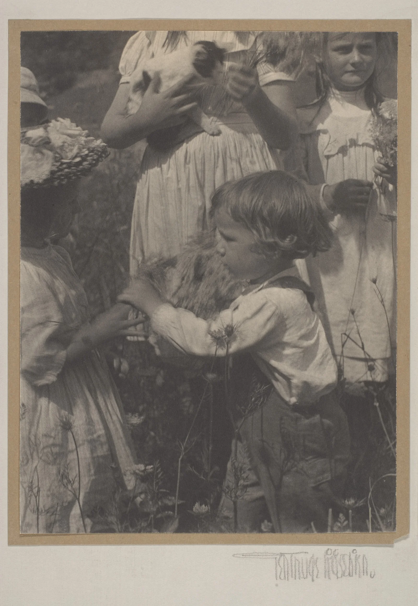 Jours heureux — Gertrude Käsebier