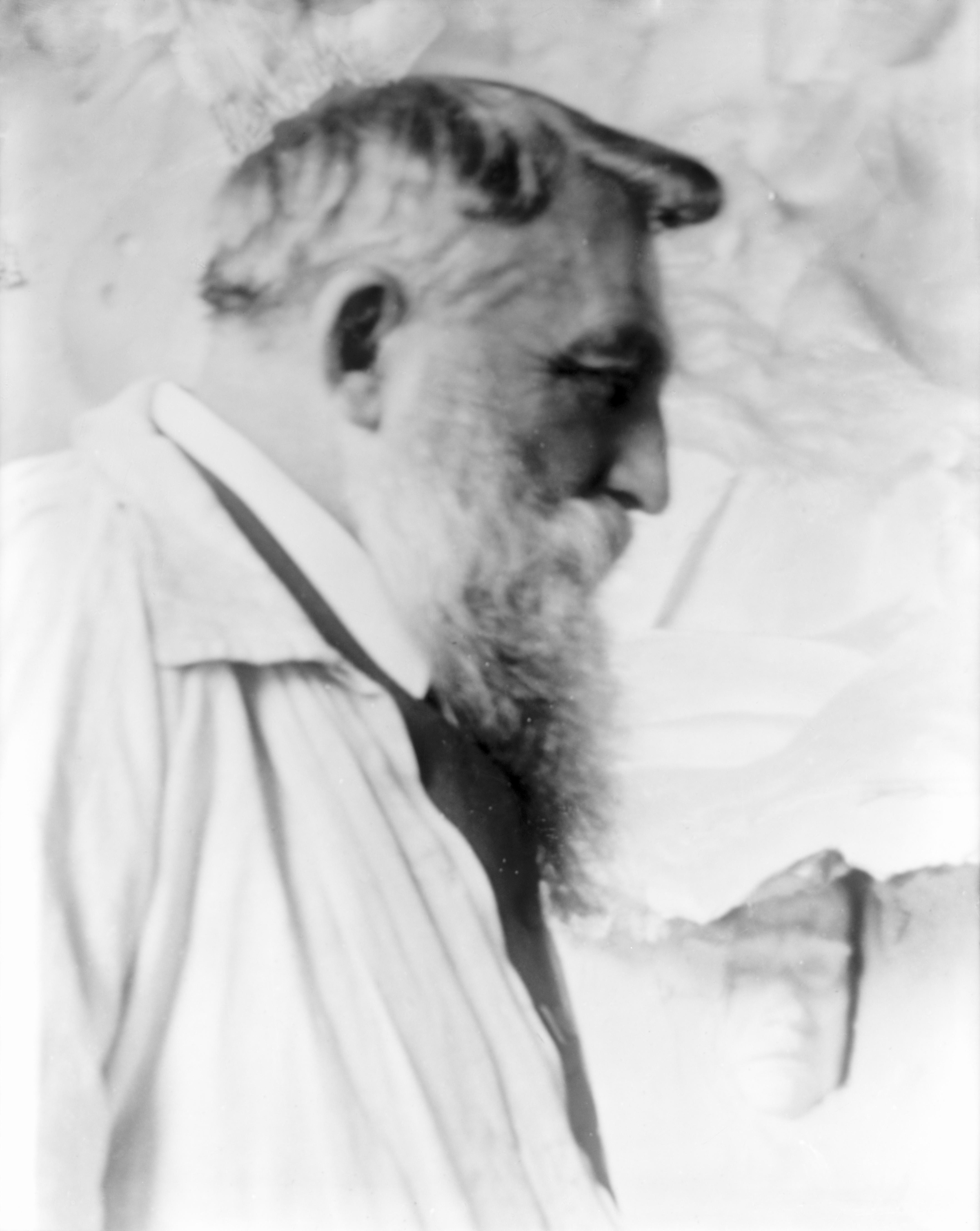 Portrait d'Auguste Rodin — Gertrude Käsebier