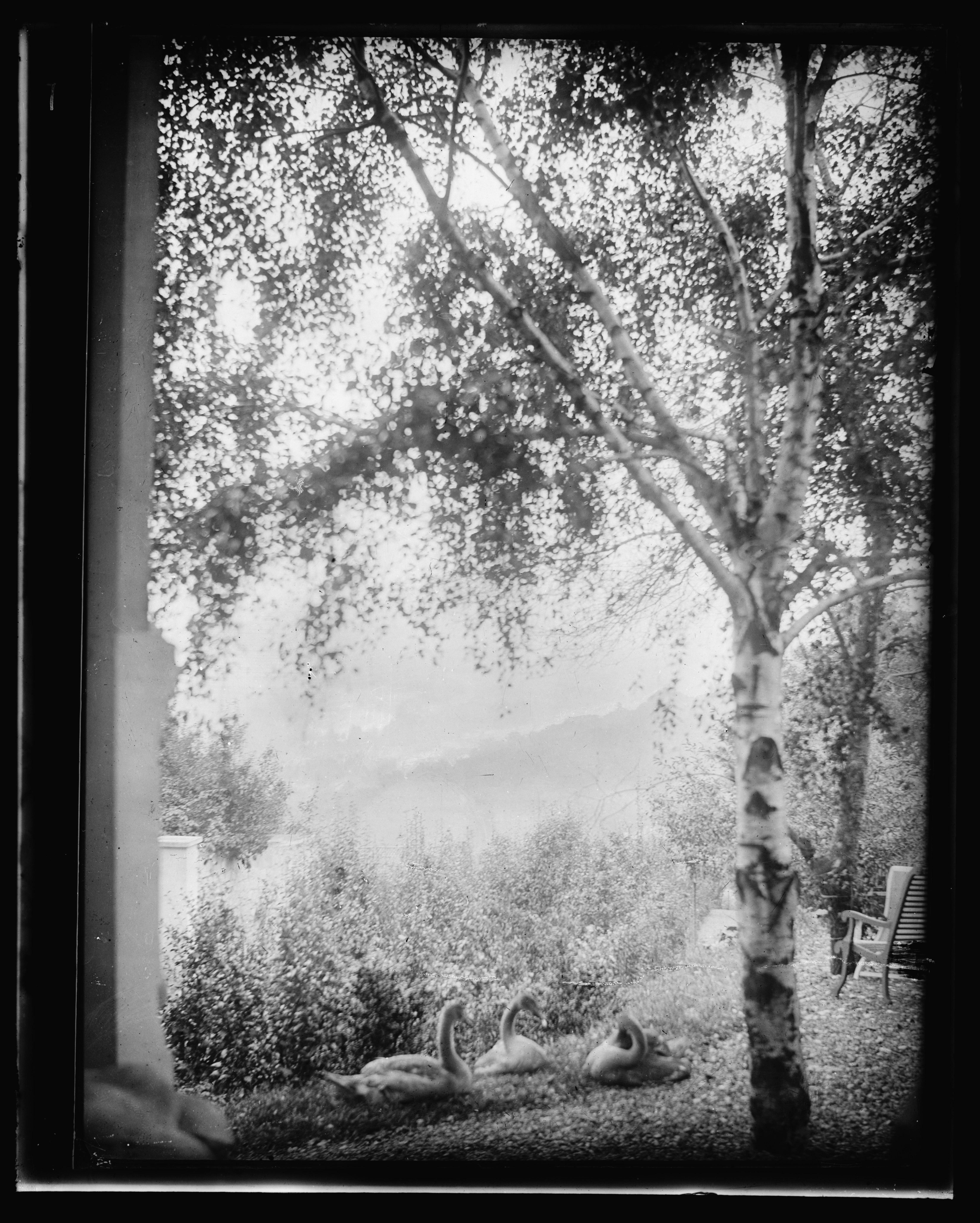 Paysage, jardin de Rodin, Meudon, France — Gertrude Käsebier