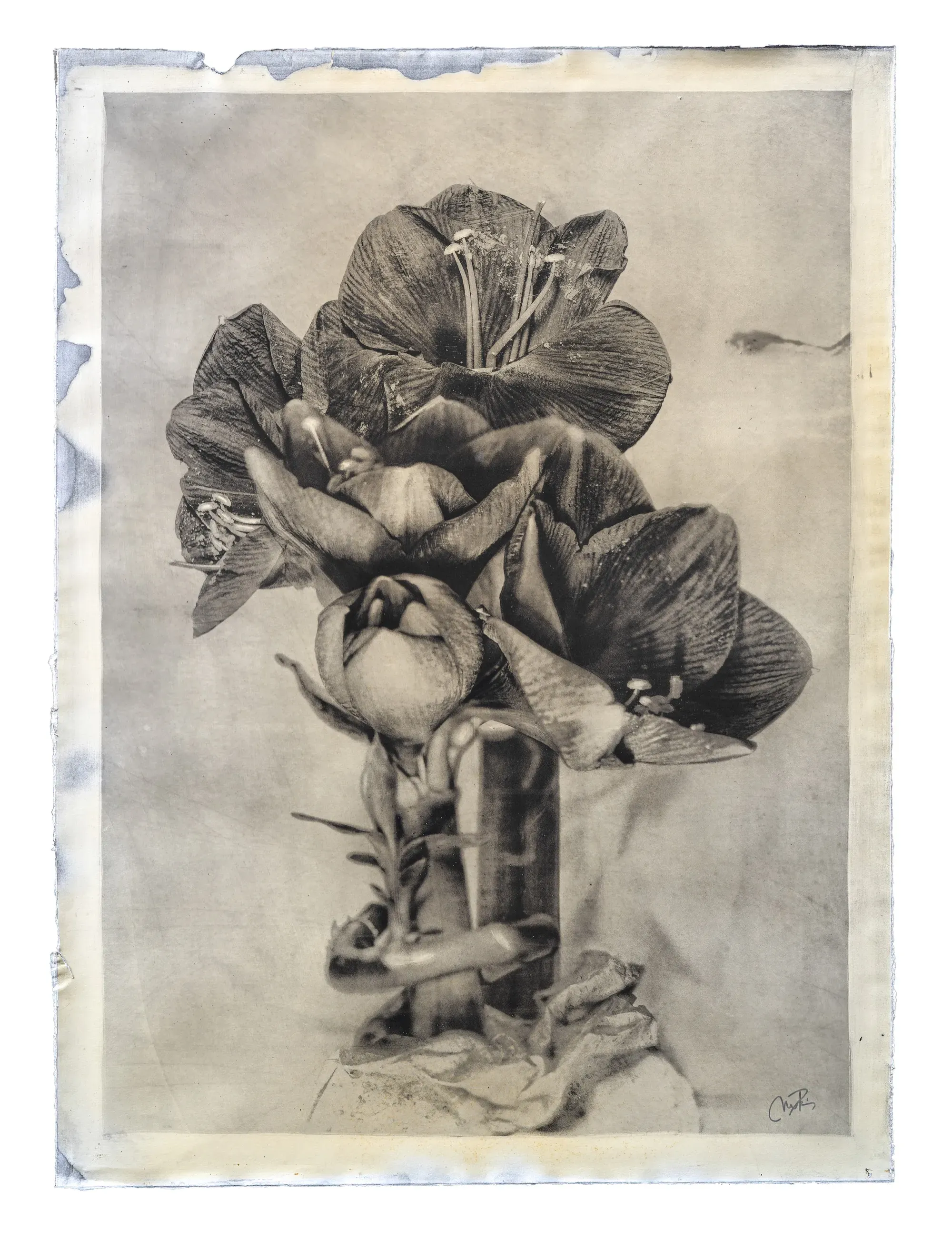 Katsushika Hokusai — Gélatine, noir d'ivoire, résine de pin — Max Ruiz — 140 × 100 cm