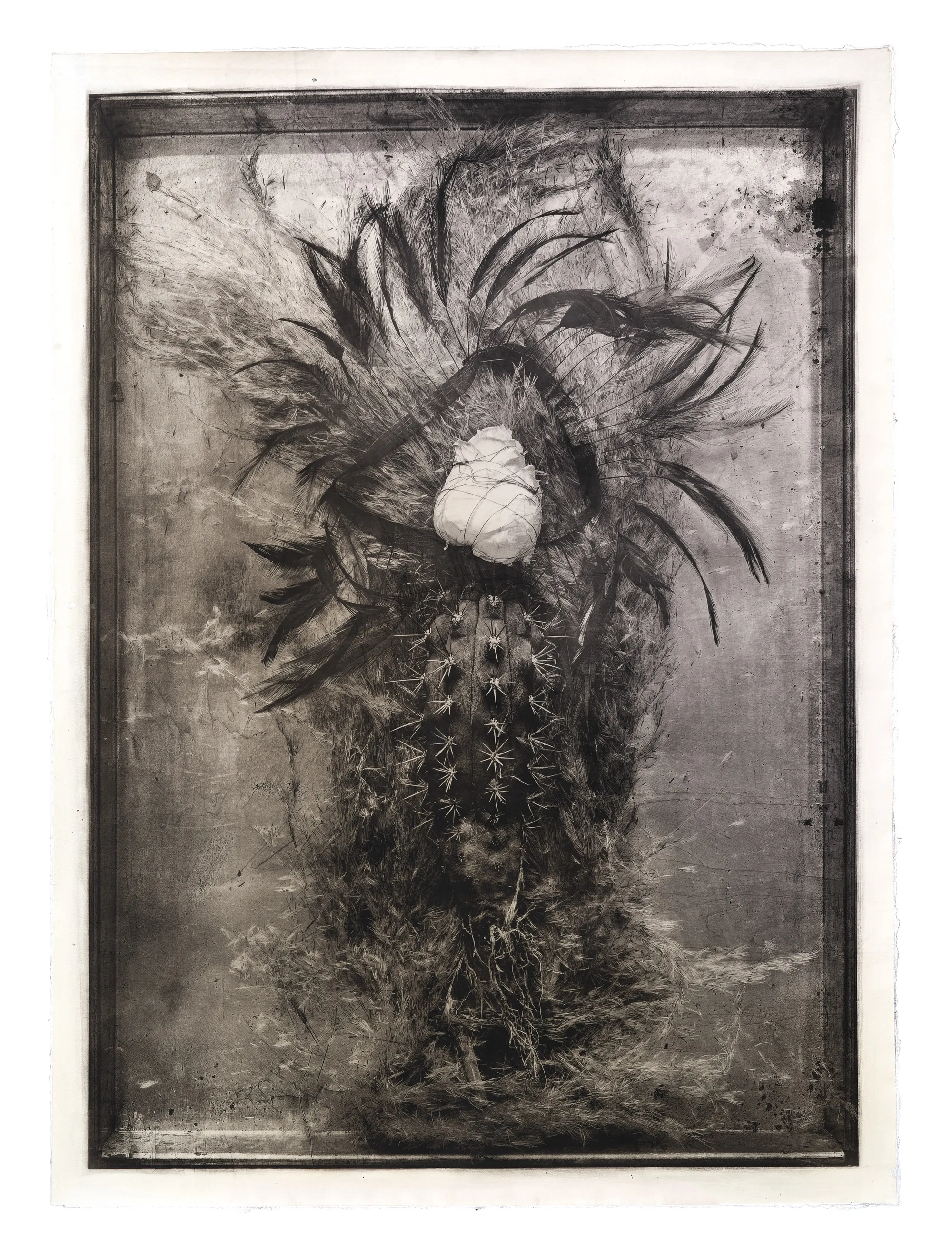 FLORESTA — Max Ruiz